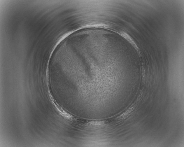 X0000058761044200510171154
