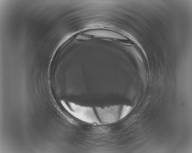 X0000058761045200510171154