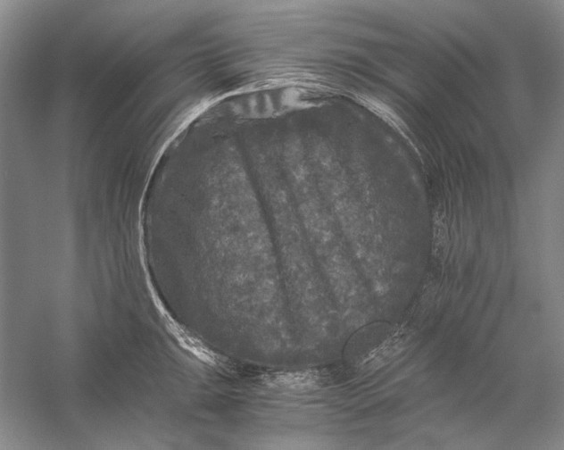 X0000058761047200510171154
