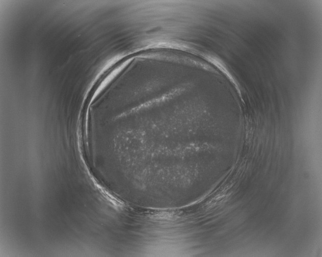 X0000058761048200510171154