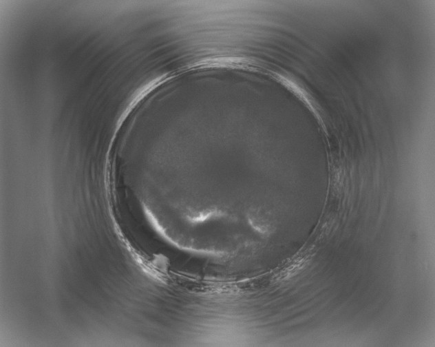 X0000058761050200510171154