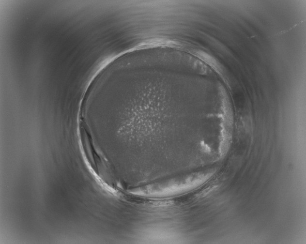 X0000058761055200510171154