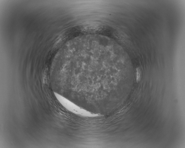 X0000058761059200510171153