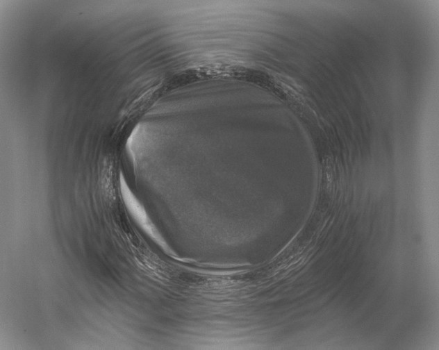 X0000058761060200510171153