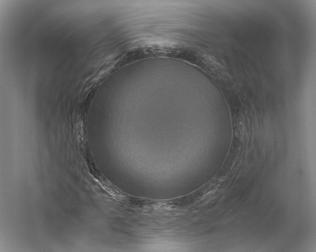 X0000058761061200510171153