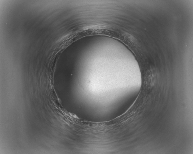 X0000058761062200510171153