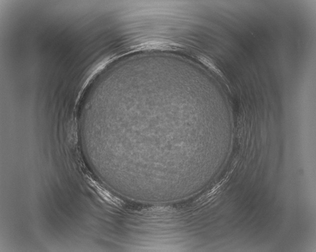 X0000058761067200510171153