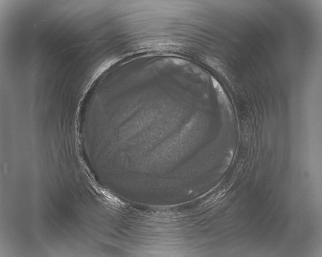 X0000058761071200510171153