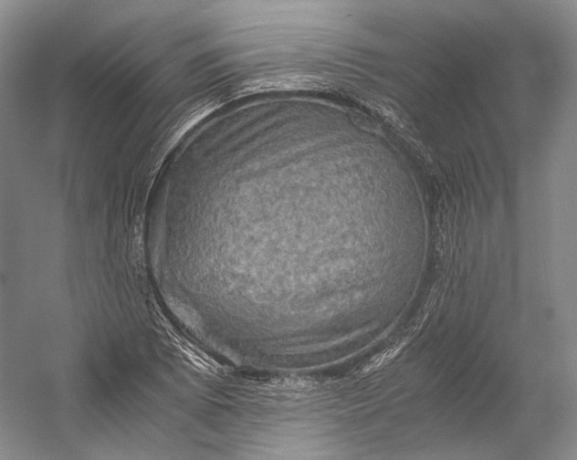 X0000058761073200510171153