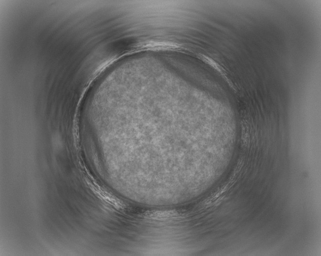 X0000058761074200510171153