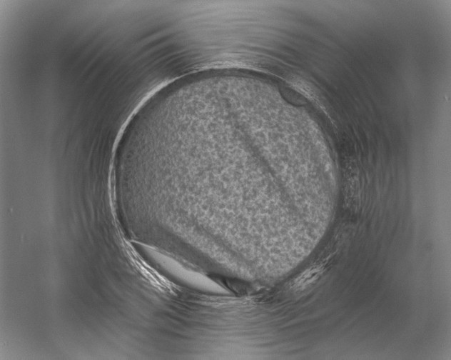 X0000058761076200510171153