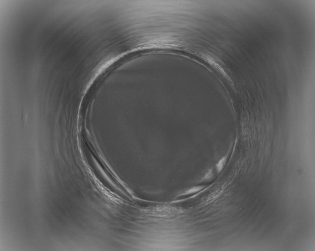 X0000058761077200510171153