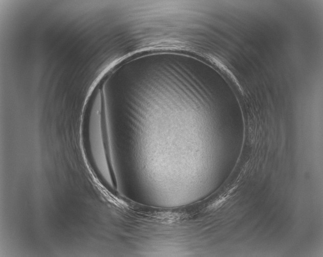 X0000058761085200510171153