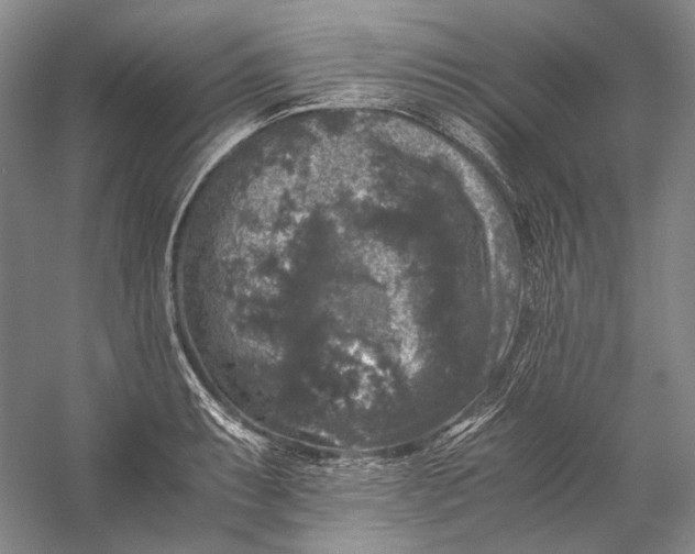 X0000058761087200510171153