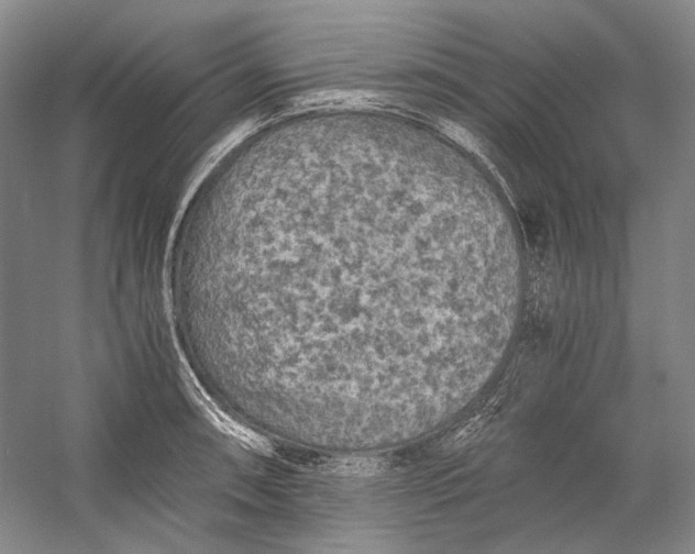 X0000058761090200510171152