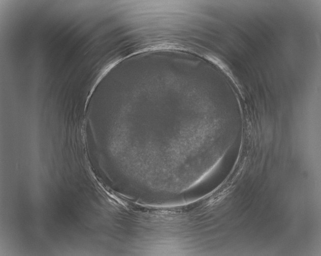 X0000058761097200510171152