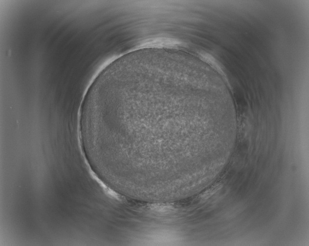 X0000058761103200510171152