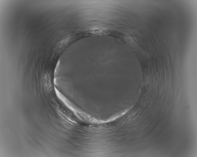 X0000058761106200510171151