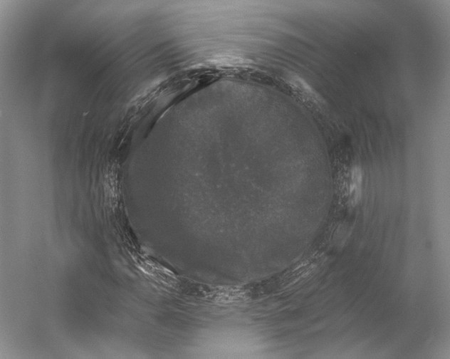 X0000058761110200510171152