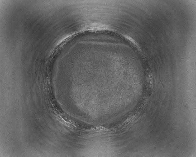 X0000058761112200510171152