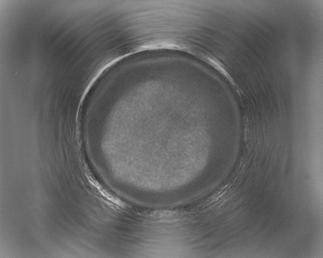X0000058761116200510171152