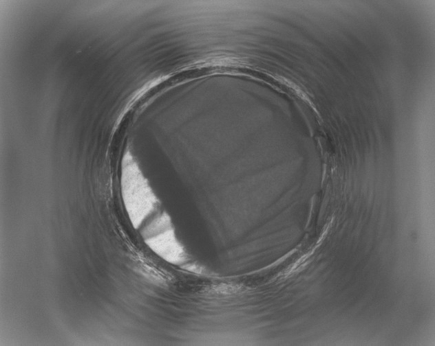 X0000058761117200510171152