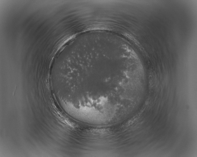 X0000058761121200510171152