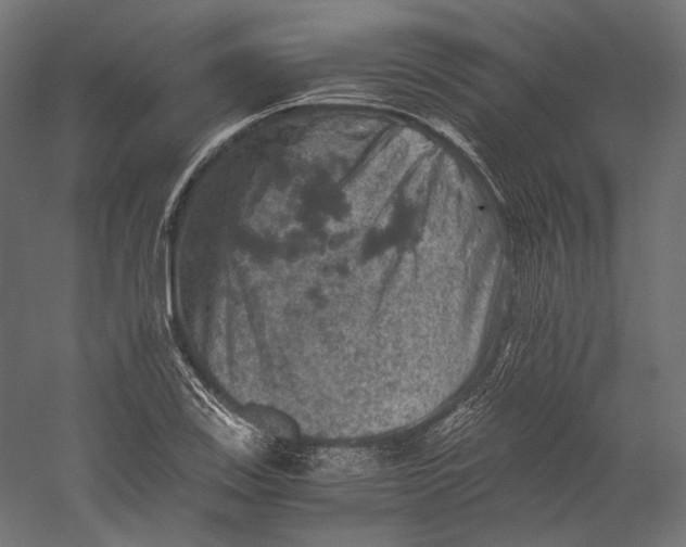 X0000058761123200510171152
