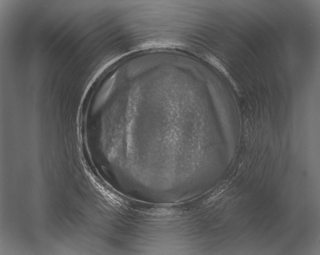 X0000058761124200510171152