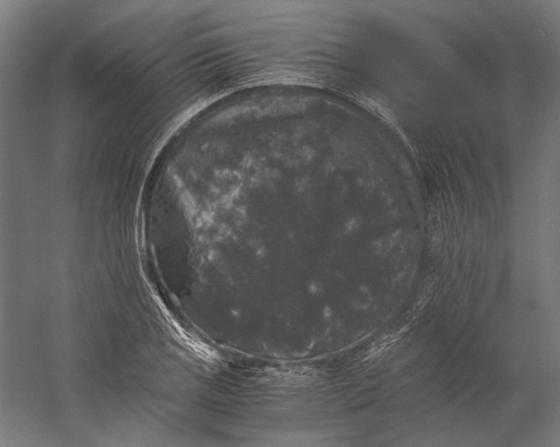 X0000058761125200510171152