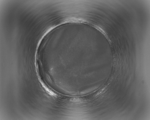 X0000058761128200510171152