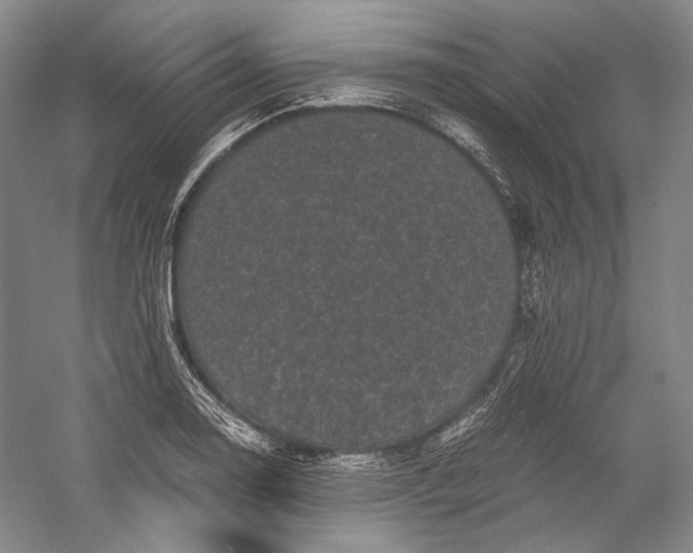 X0000058761130200510171152