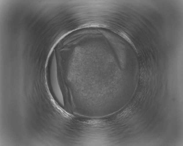 X0000058761132200510171152