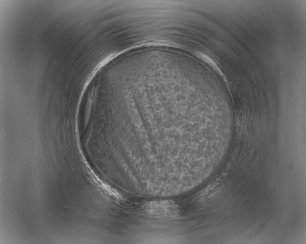 X0000058761133200510171152