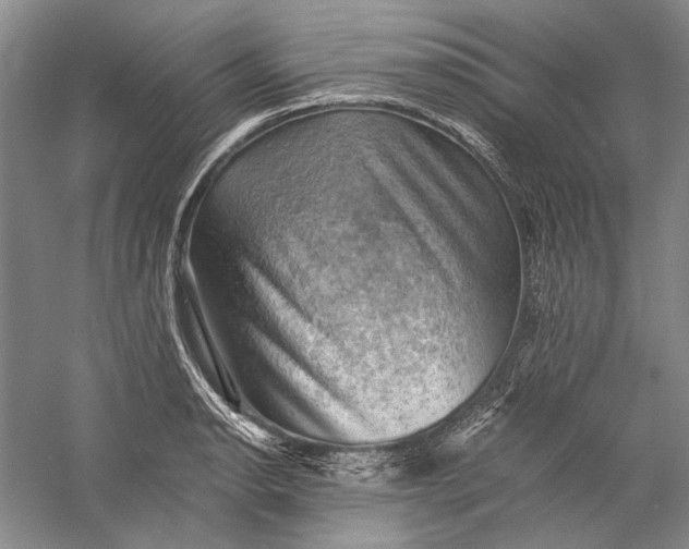 X0000058761134200510171152
