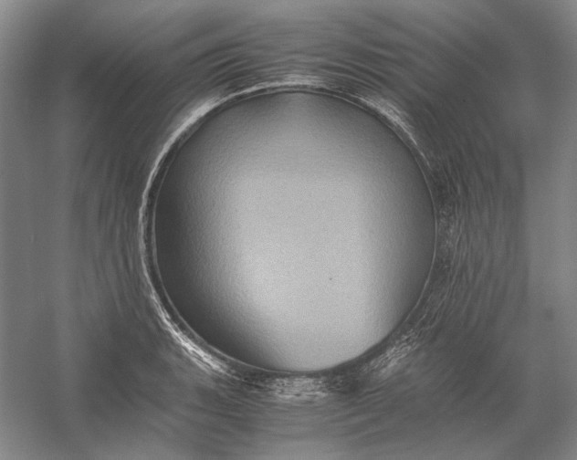 X0000058761135200510171152