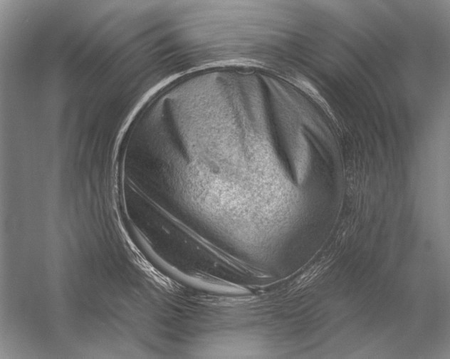 X0000058761140200510171152