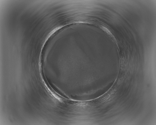 X0000058761141200510171152