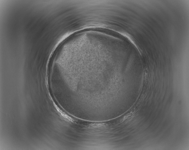 X0000058761143200510171152