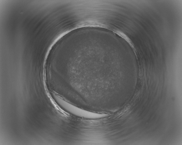 X0000058761144200510171152
