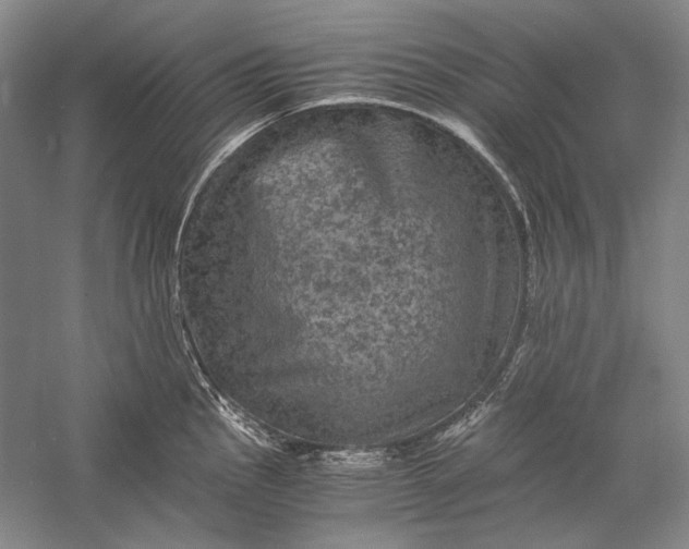 X0000058761145200510171152