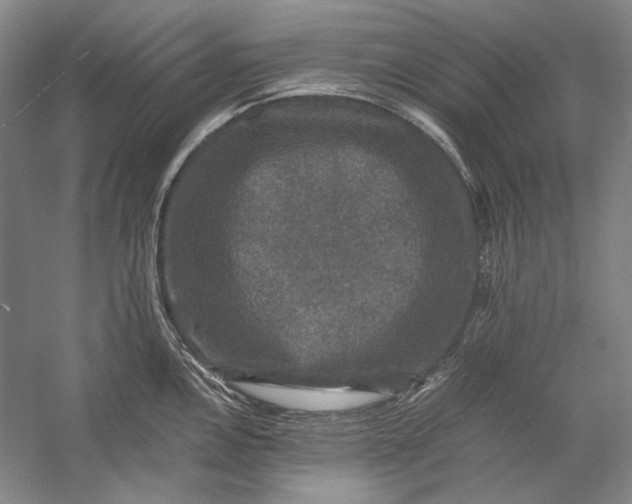 X0000058761146200510171152