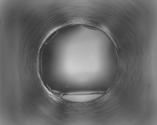 X0000058761147200510171152
