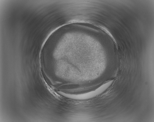X0000058761148200510171152