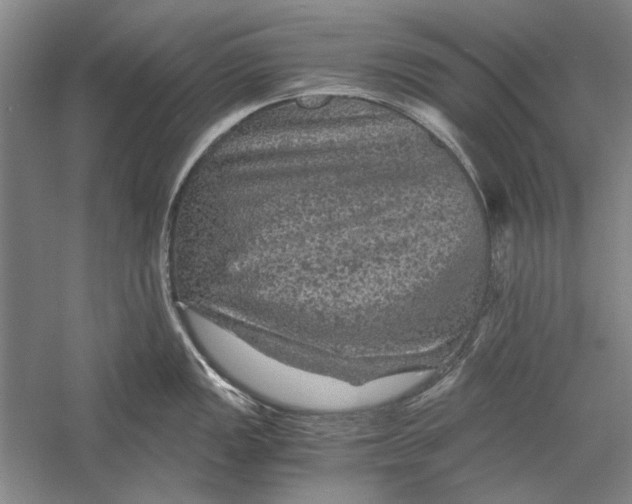 X0000058761149200510171152