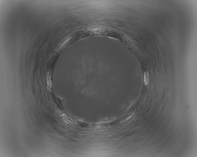 X0000058761155200510171151