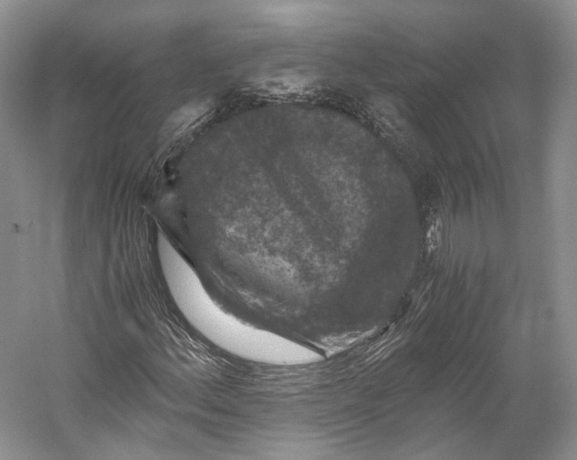 X0000058761156200510171151