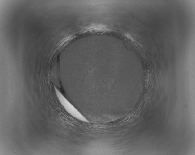 X0000058761157200510171151