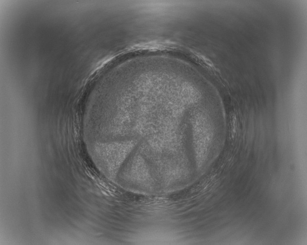 X0000058761158200510171151