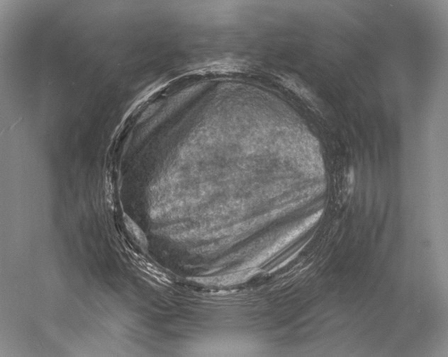 X0000058761160200510171151